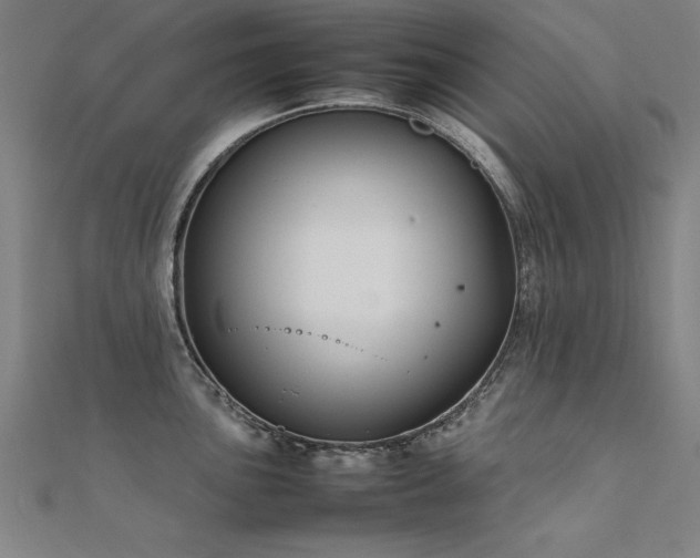 X0000112401051200908141335