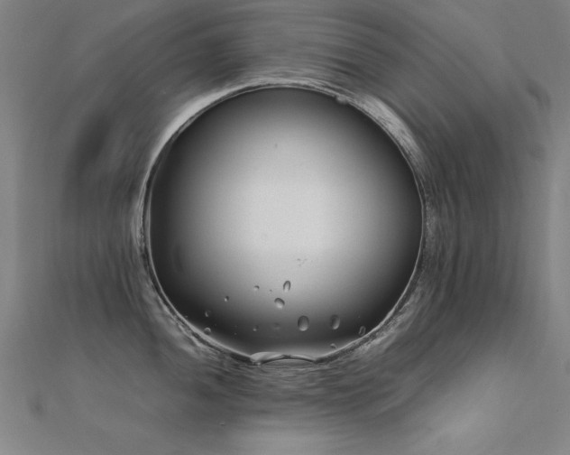 X0000112401052200908141335