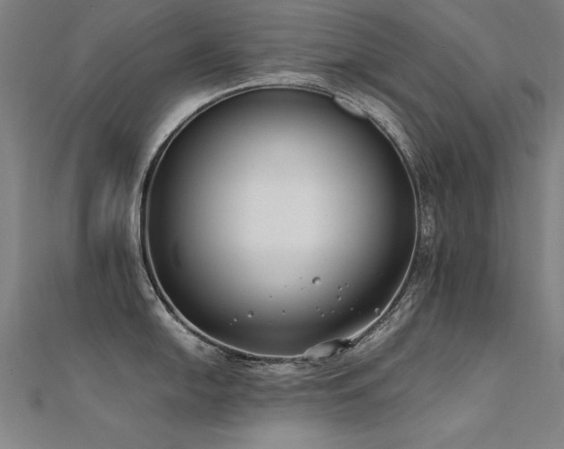 X0000112401054200908141335
