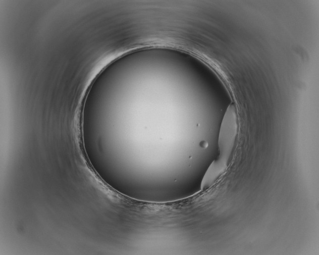 X0000112401056200908141335