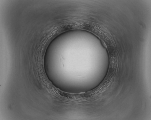 X0000112401057200908141334