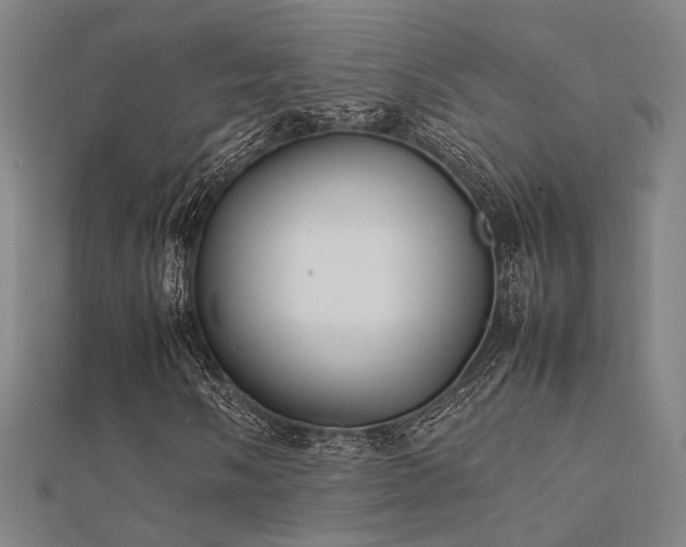 X0000112401058200908141334