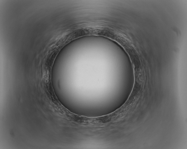 X0000112401061200908141334