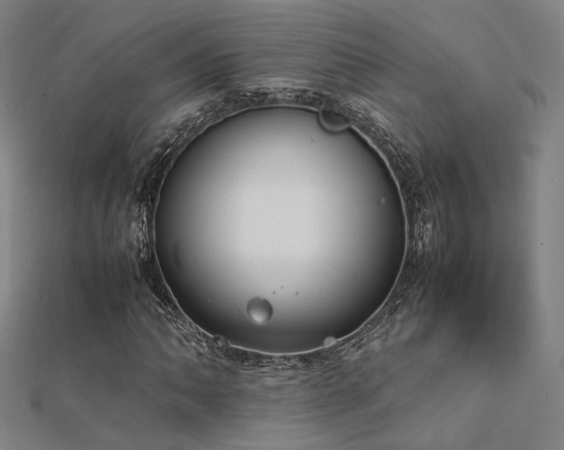 X0000112401062200908141334