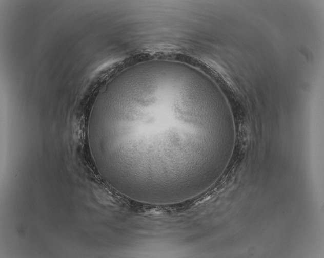 X0000112401063200908141334