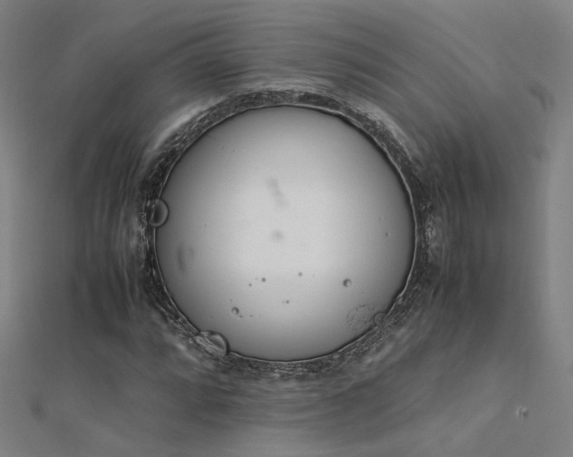 X0000112401064200908141334