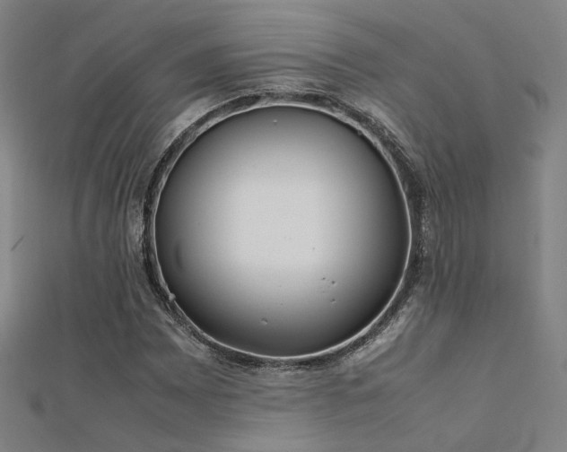 X0000112401065200908141334