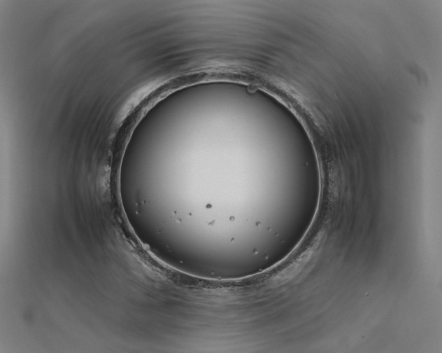 X0000112401066200908141334