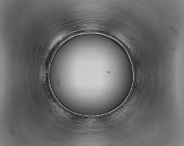 X0000112401067200908141334
