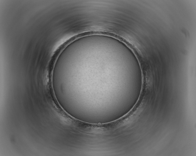 X0000112401070200908141334