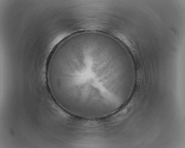 X0000112401071200908141334