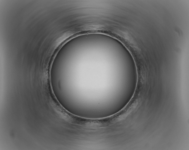 X0000112401073200908141334