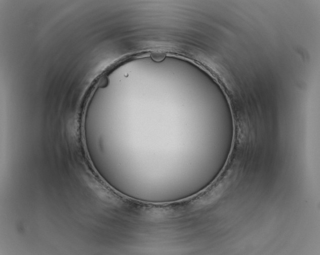 X0000112401074200908141334