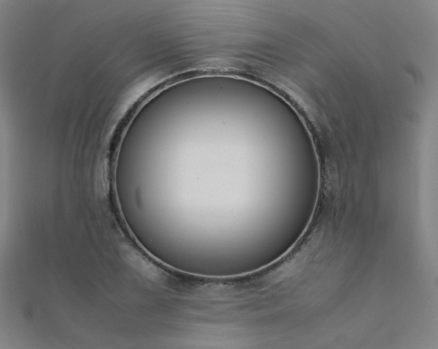 X0000112401075200908141334