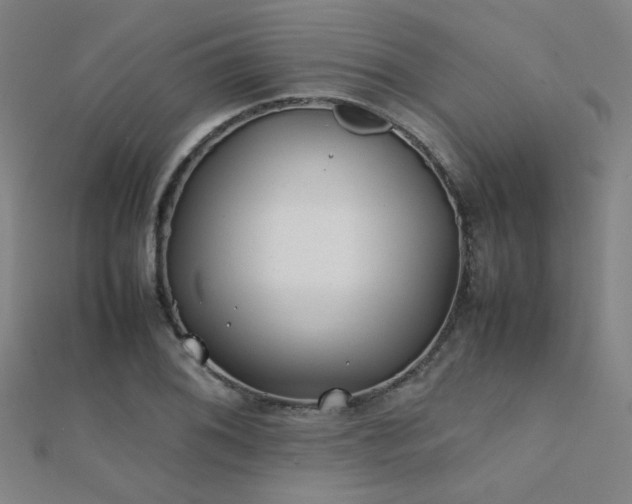 X0000112401076200908141334