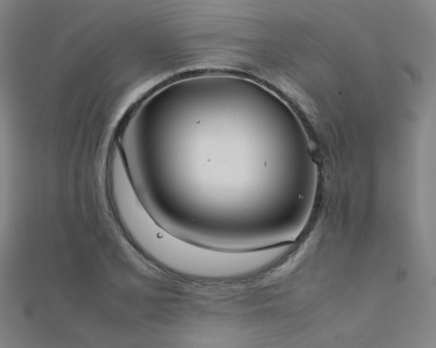 X0000112401077200908141334