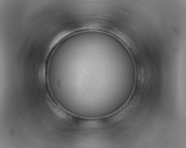 X0000112401078200908141334