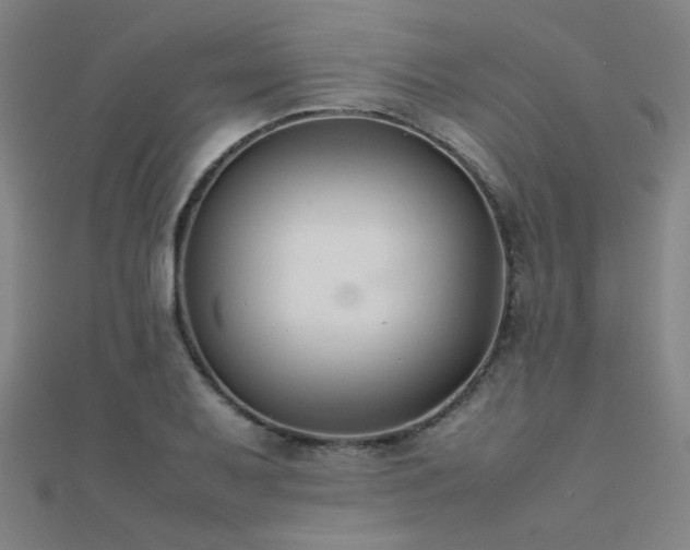 X0000112401079200908141334