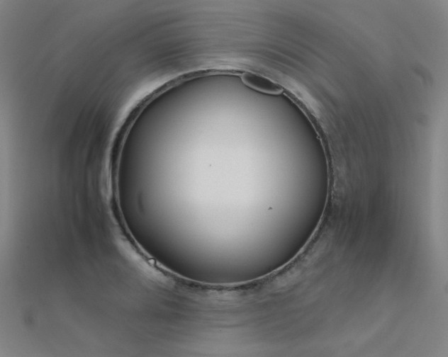 X0000112401080200908141334