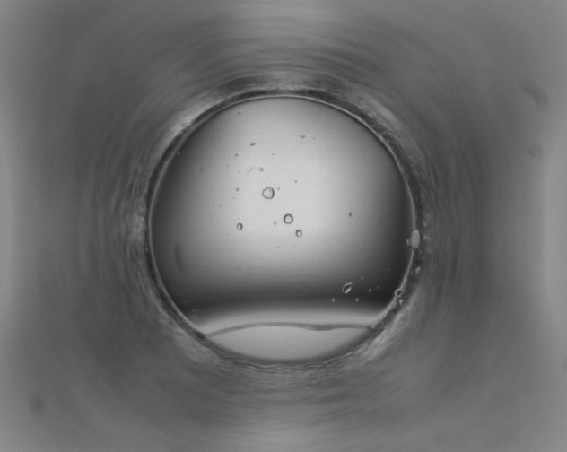 X0000112401081200908141334