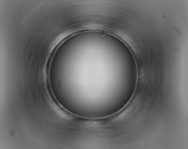X0000112401082200908141334