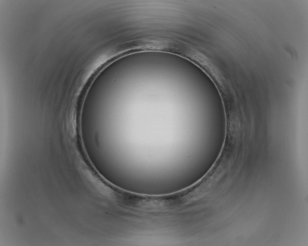 X0000112401083200908141334