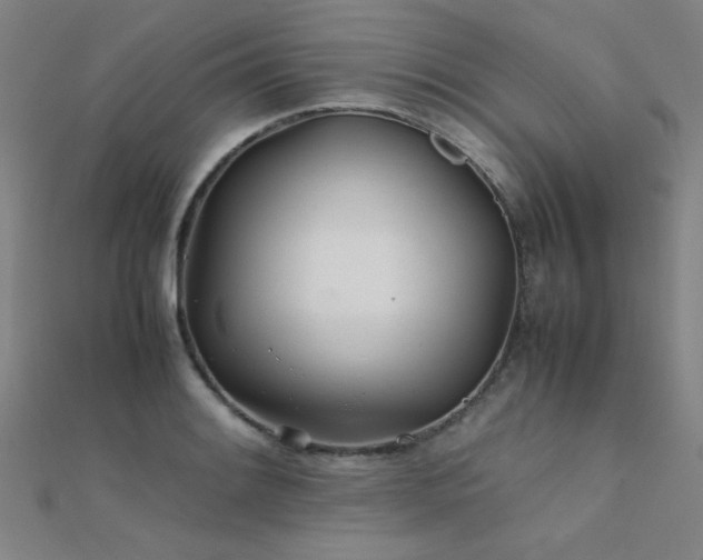 X0000112401084200908141334
