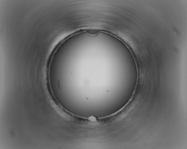 X0000112401085200908141334
