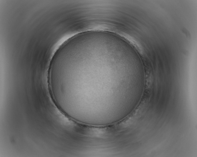 X0000112401086200908141334