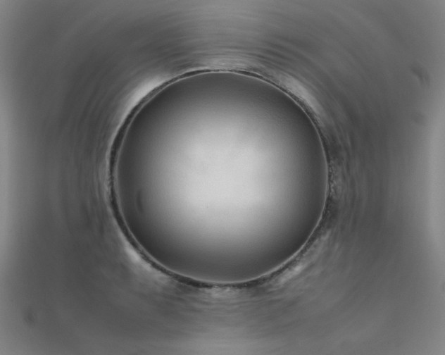 X0000112401087200908141334
