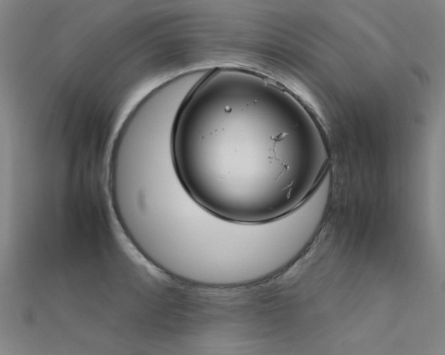 X0000112401088200908141334
