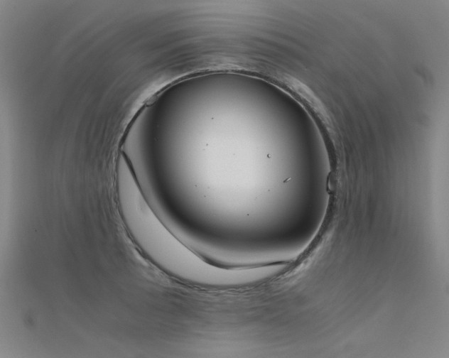 X0000112401089200908141334