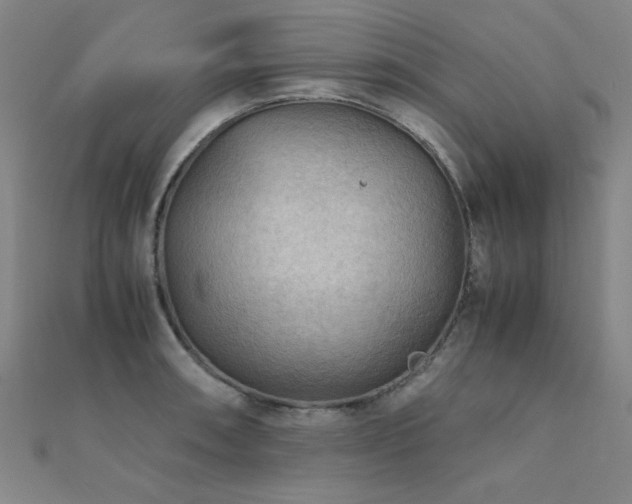 X0000112401090200908141334