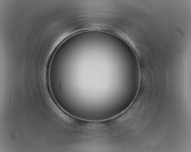 X0000112401091200908141334