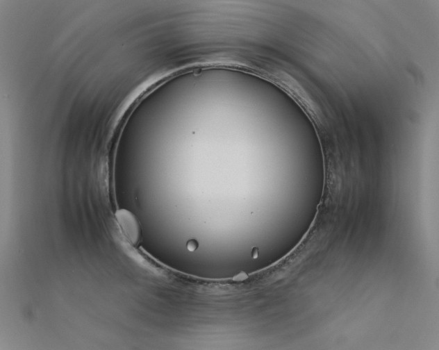 X0000112401092200908141334