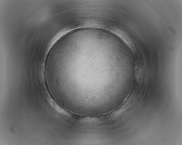 X0000112401094200908141334