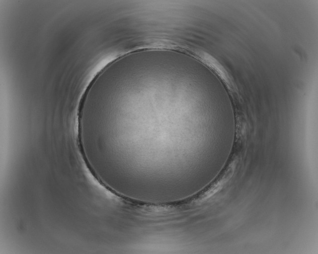 X0000112401095200908141334