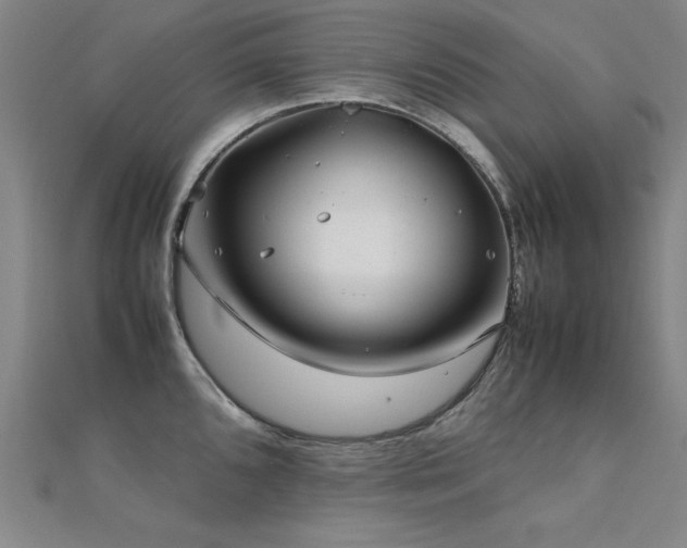 X0000112401096200908141334