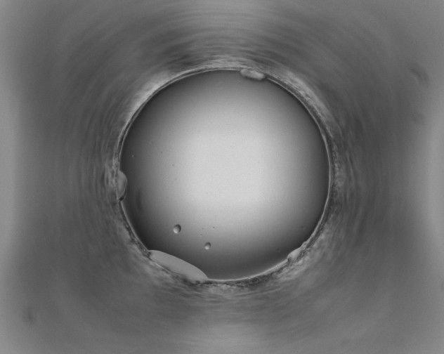 X0000112401097200908141334