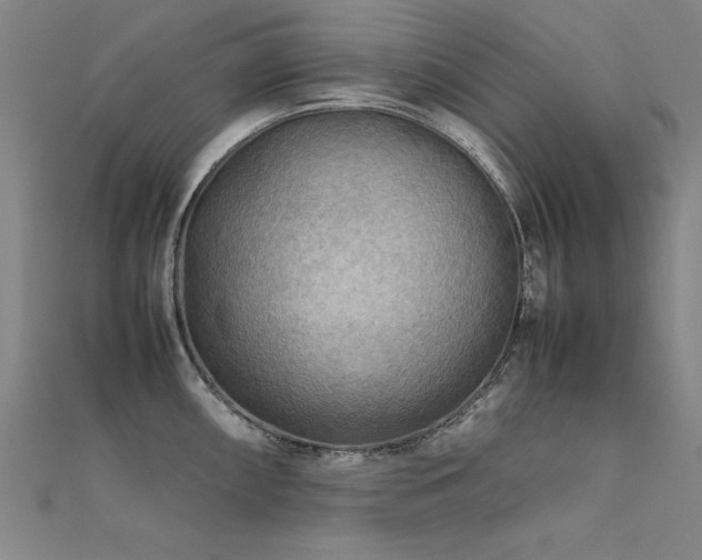 X0000112401098200908141334
