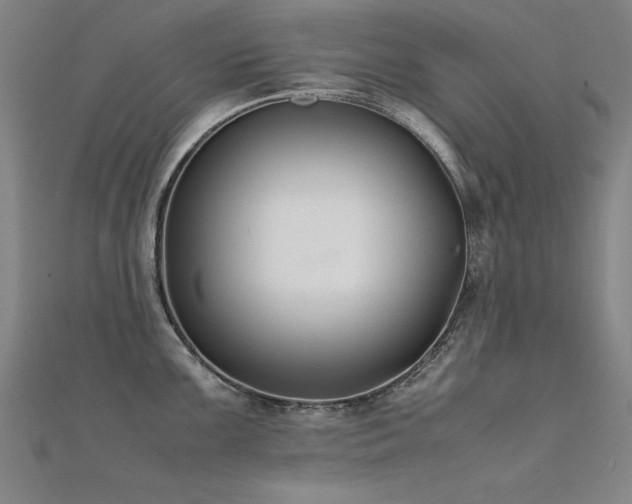 X0000112401099200908141334