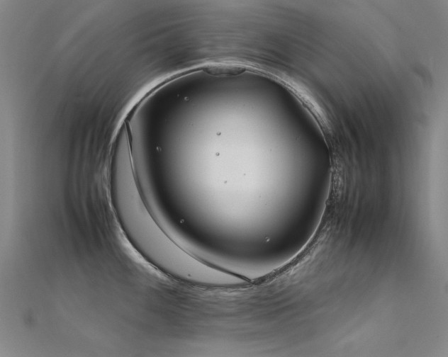 X0000112401100200908141334