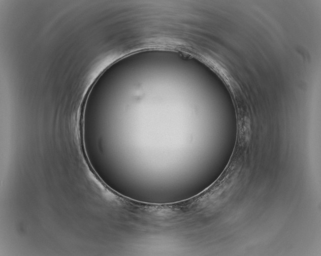 X0000112401103200908141334