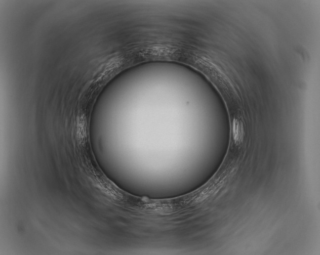 X0000112401107200908141333