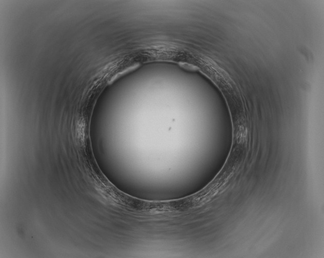 X0000112401108200908141333