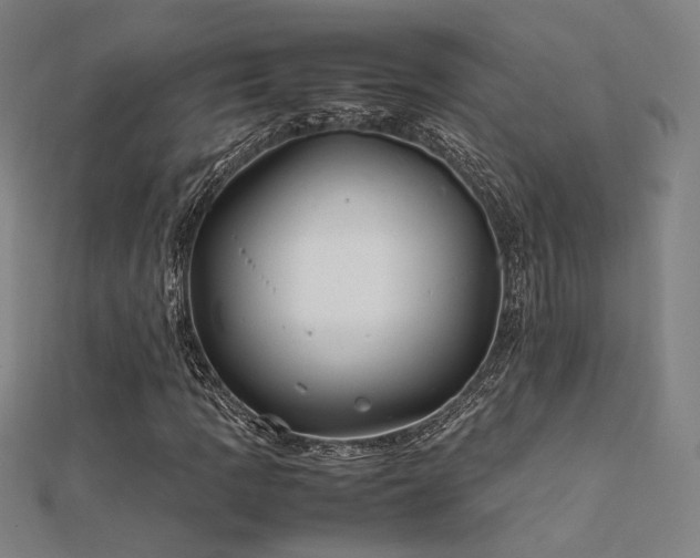 X0000112401109200908141333