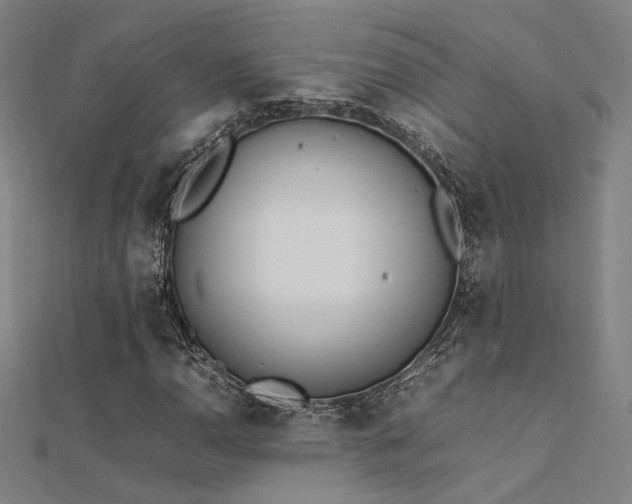 X0000112401110200908141333
