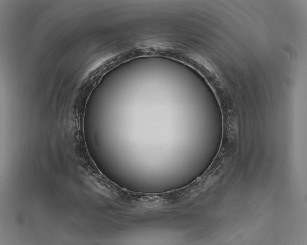 X0000112401112200908141333