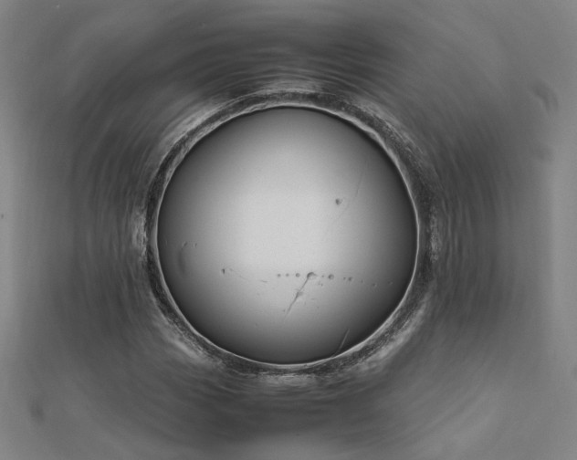 X0000112401113200908141333