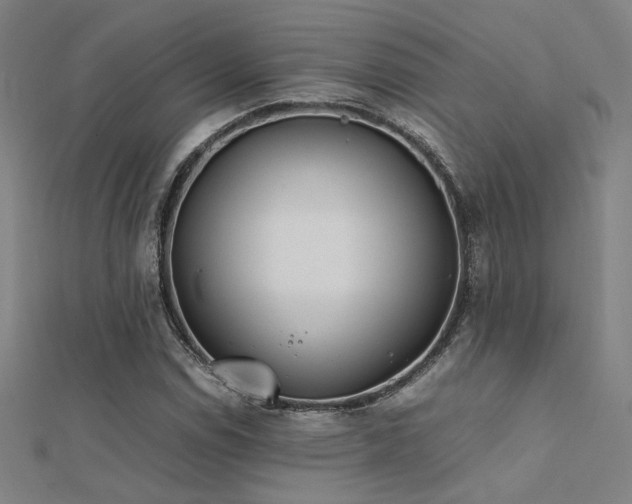 X0000112401114200908141333